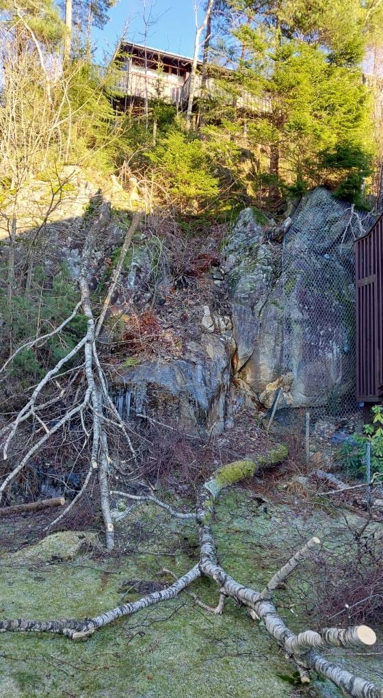 Fjerning av greiner og vindfall